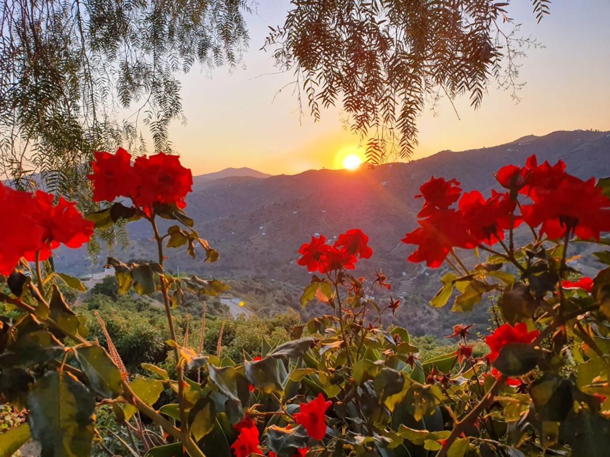 Cortijo La Rijana Villa Sayalonga Luaran gambar